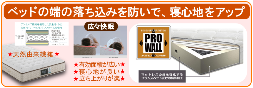 プロウォール